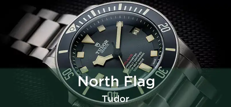  North Flag Tudor