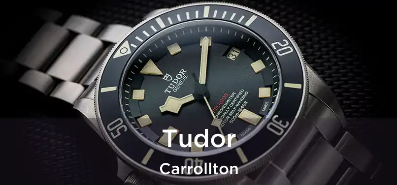  Tudor Carrollton